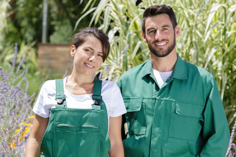 kiss-my-grass-demo-about-us