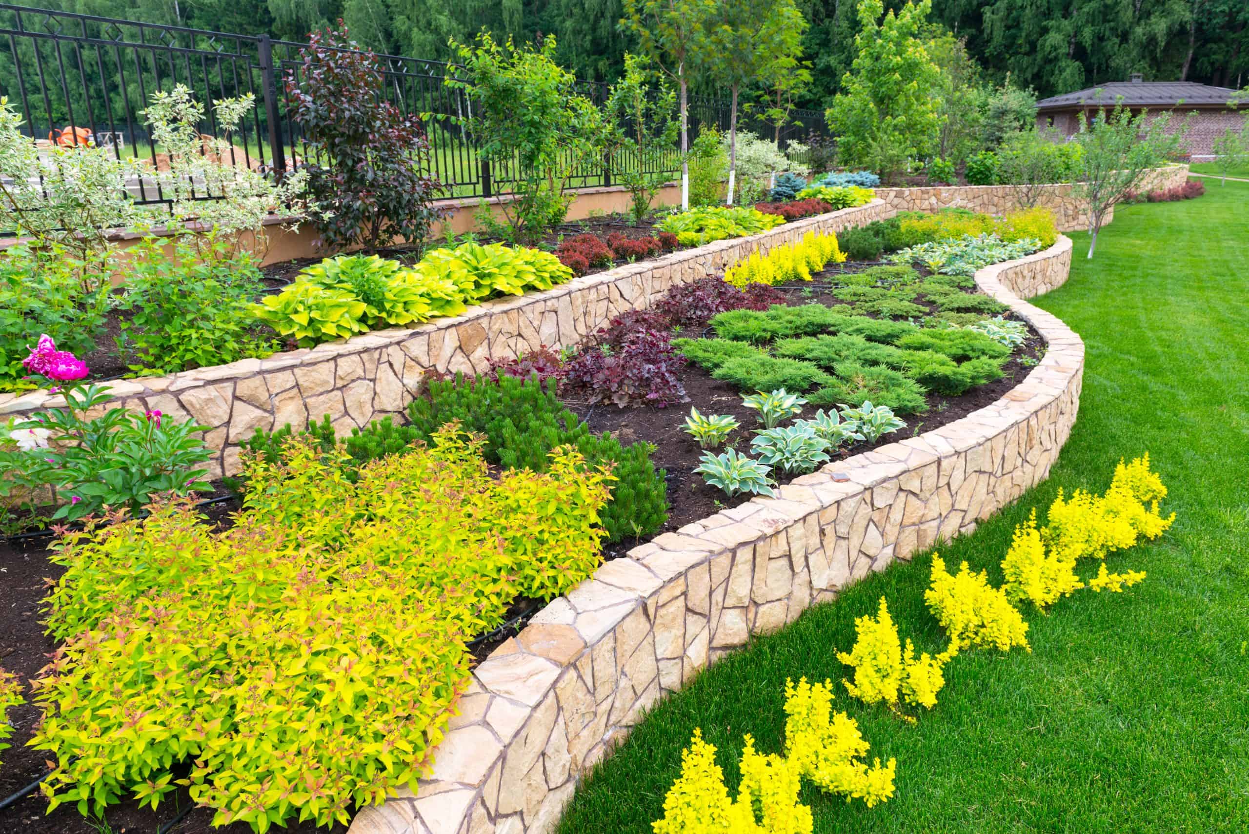 Natural flower landscaping in home garden